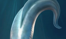 寒武纪时期的鱼竟有四只眼睛 复原图有点儿呆萌