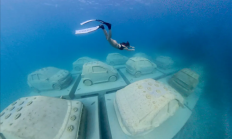 迈阿密将22辆“汽车”推入海底 给珊瑚当家