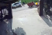 养了30多年的鳄龟被过路司机抱走 主人恳求不要杀 另一只已不吃不喝
