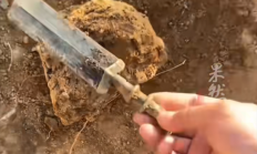 男子挖出战国青铜剑文物 上交博物馆后获奖200元