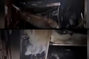 福特号航母火灾后内部画面曝光 600张睡铺被毁天花板烧穿 专家：美军损管水平大幅下降