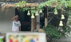 绍兴葫芦爷爷的院子火了！一根藤上7只葫芦 童年IP照进现实
