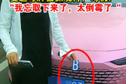 变造号牌“8变B”被抓现行 女司机：忘取下了 太倒霉了