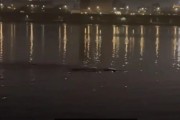 韩国汉江又发现“巨型水怪”！目击者称至少6米长：这可能是啥