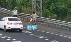 狗在车内拉屎 高速上停车铲屎 司机：应急车道不就是应急的吗