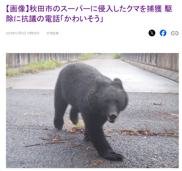 日本一黑熊闯入超市被捕将处死:不少市民求情“太可怜”