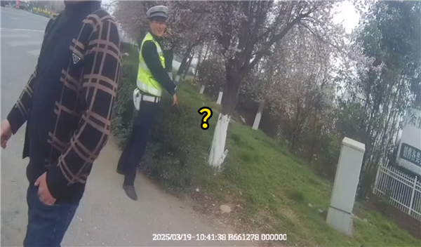男子酒驾被查:疯狂吃路边青草
