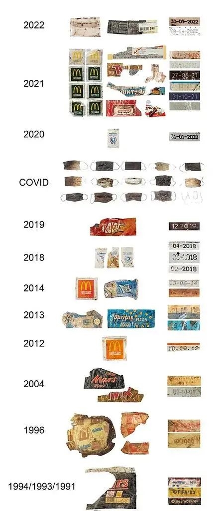 30年房龄的鸟巢被“强拆”:从麦当劳外包装到口罩 垃圾层层堆叠