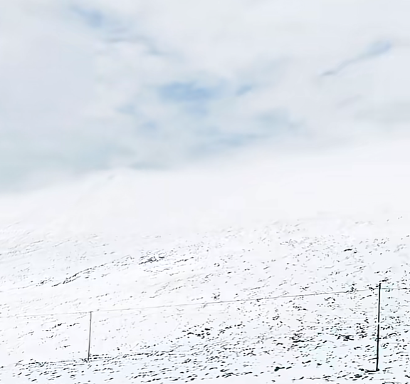 青海祁连七月飞雪 当地气象局回应:概率非常低