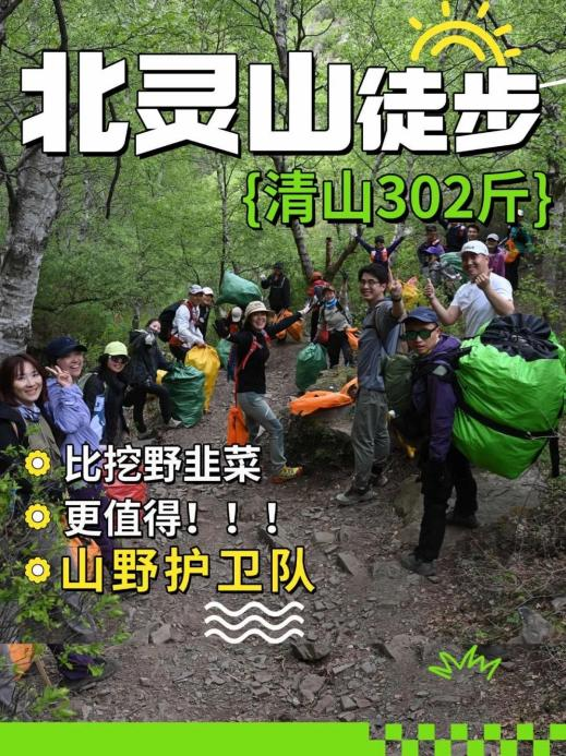 数千人涌入割韭菜:北京的这座山被“薅秃了”