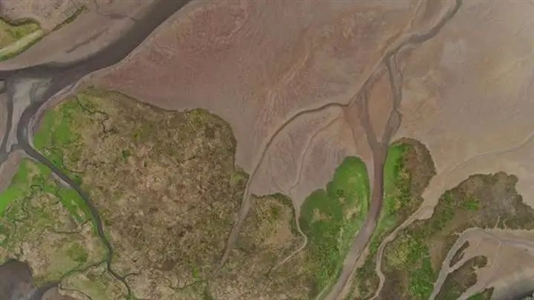 为什么古代中国经常会闹饥荒
