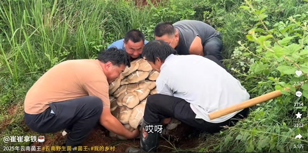 云南现80公斤巨无霸“菌王”:4名壮汉才能搬得动