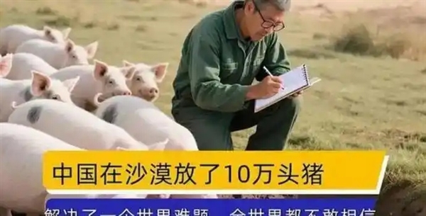 中国人在沙漠里放了10万头黑猪:解决世界级治沙难题