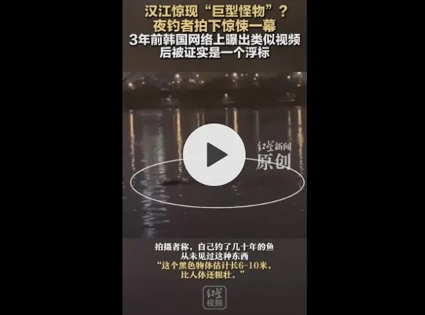 韩国汉江又发现“巨型水怪”!目击者称至少6米长:这可能是啥