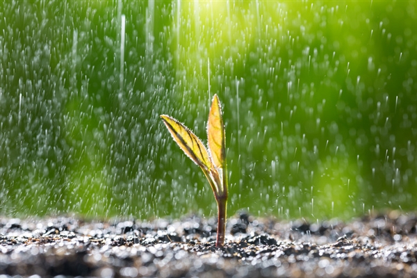 北京暴雨过后出现“双彩虹”:网友纷纷驻足围观