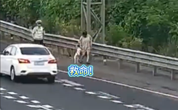 狗在车内拉屎 高速上停车铲屎 司机：应急车道不就是应急的吗