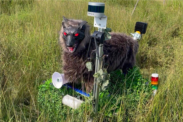 眼睛闪着红光、90分贝噪音 日本多地用“机器狼”驱赶熊