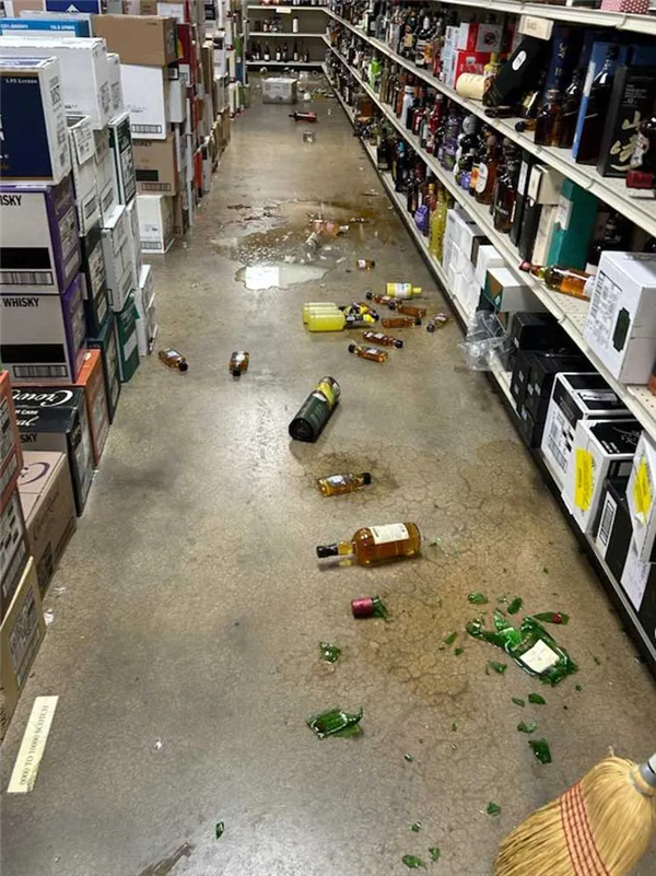 夜闯店铺偷酒喝 还喝得烂醉 美国“惯犯”浣熊醉倒在马桶边走红