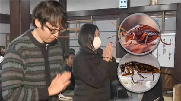日本人会玩：摆上蟑螂蚊子遗照 百人焚香祭拜