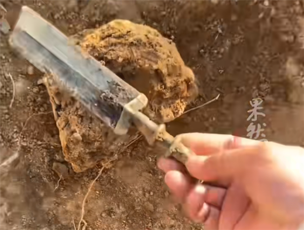 男子挖出战国青铜剑文物 上交博物馆后获奖200元