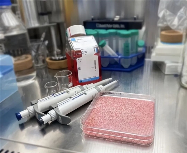 科学家首次种出带有肉味的菜:但你可能还尝不出来